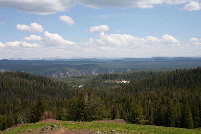 Yellowstone Scenics Yellowstone Scenics