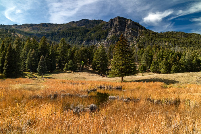 Yellowstone Scenics