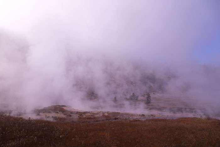 Yellowstone Scenics Yellowstone Scenics