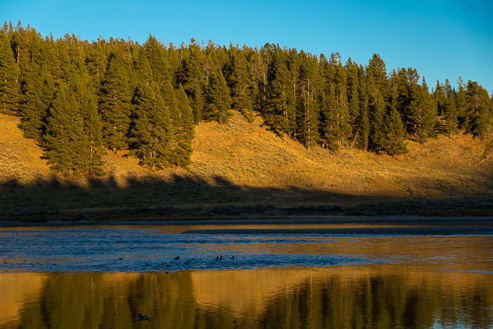 Yellowstone Scenics