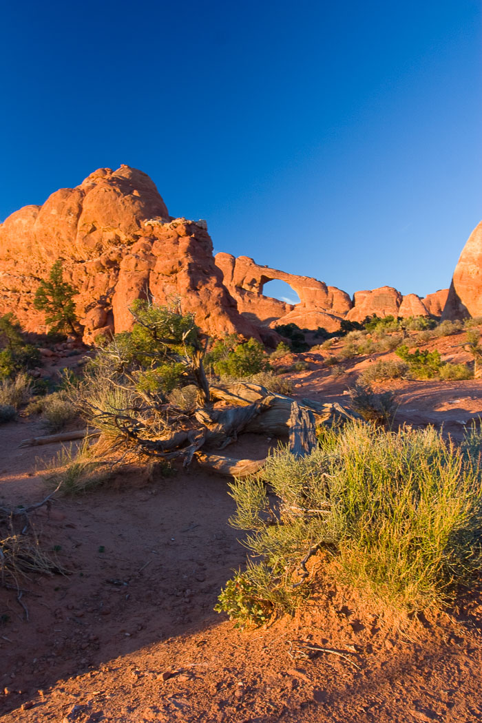 Arches National Park