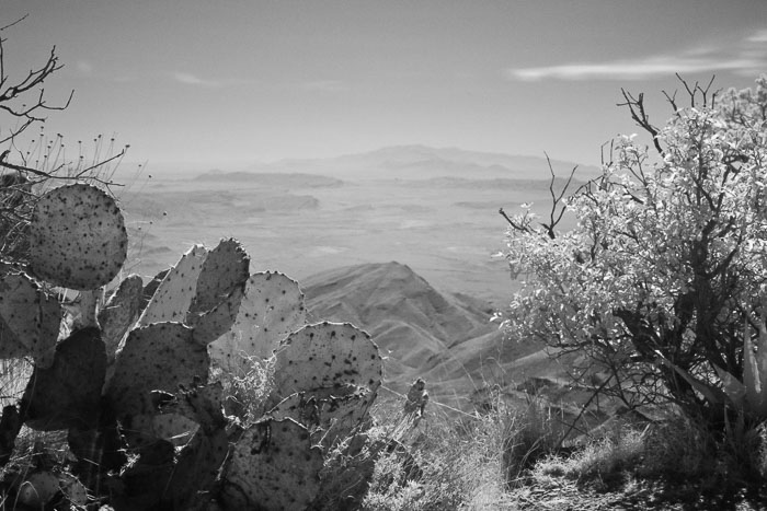 Big Bend National Park
