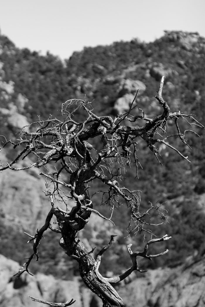 Big Bend National Park