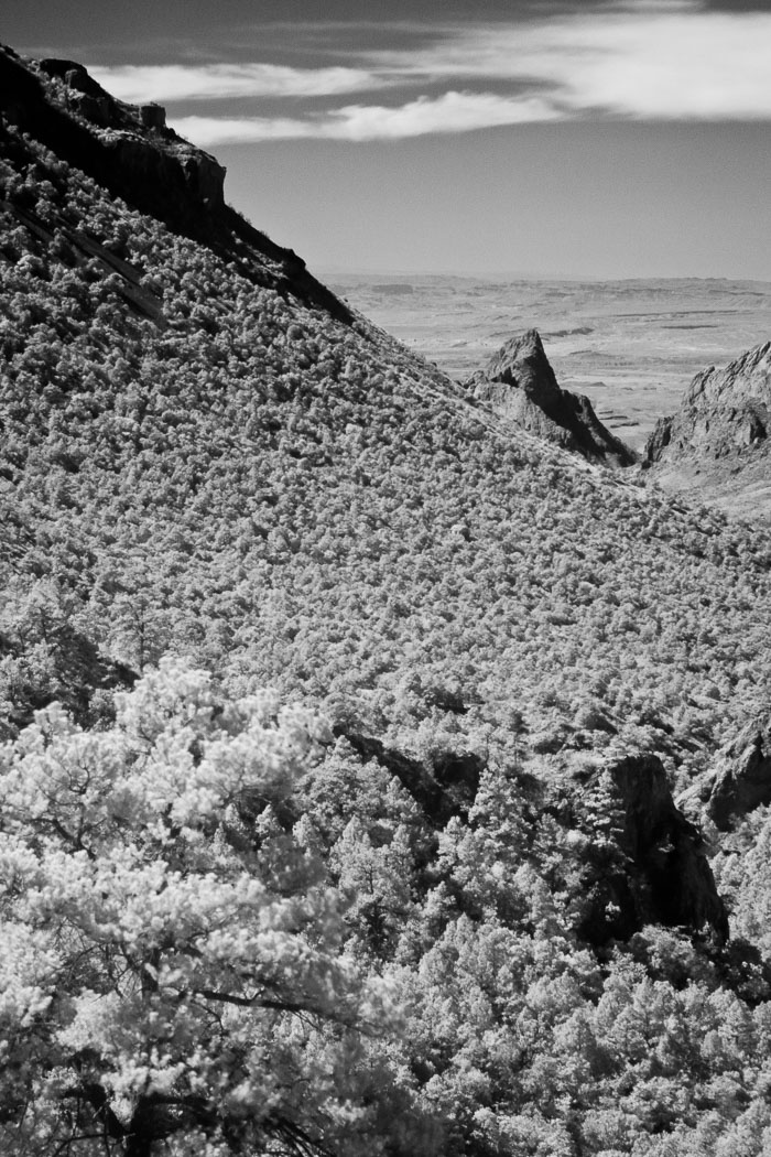 Big Bend National Park
