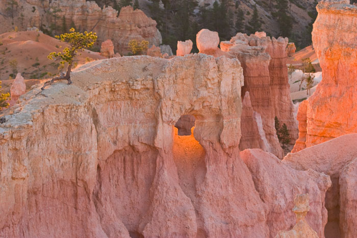 Bryce Canyon National Park