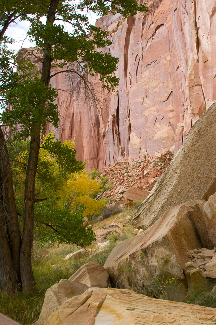 Capitol Reef National Park