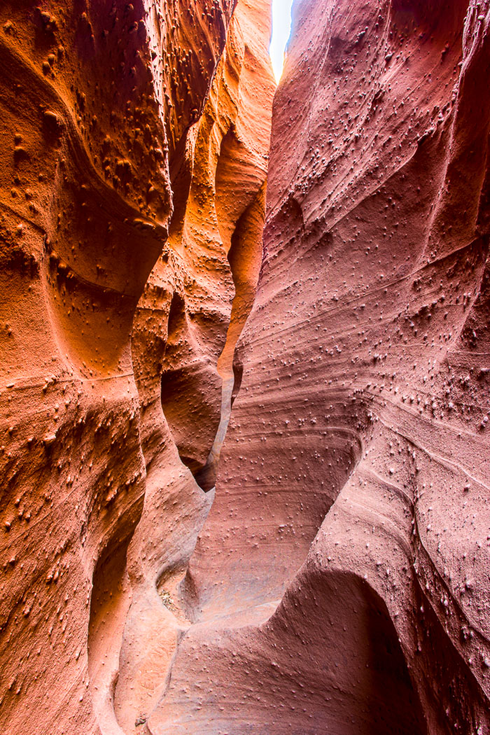 Escalante-Grand Staircase National Monument