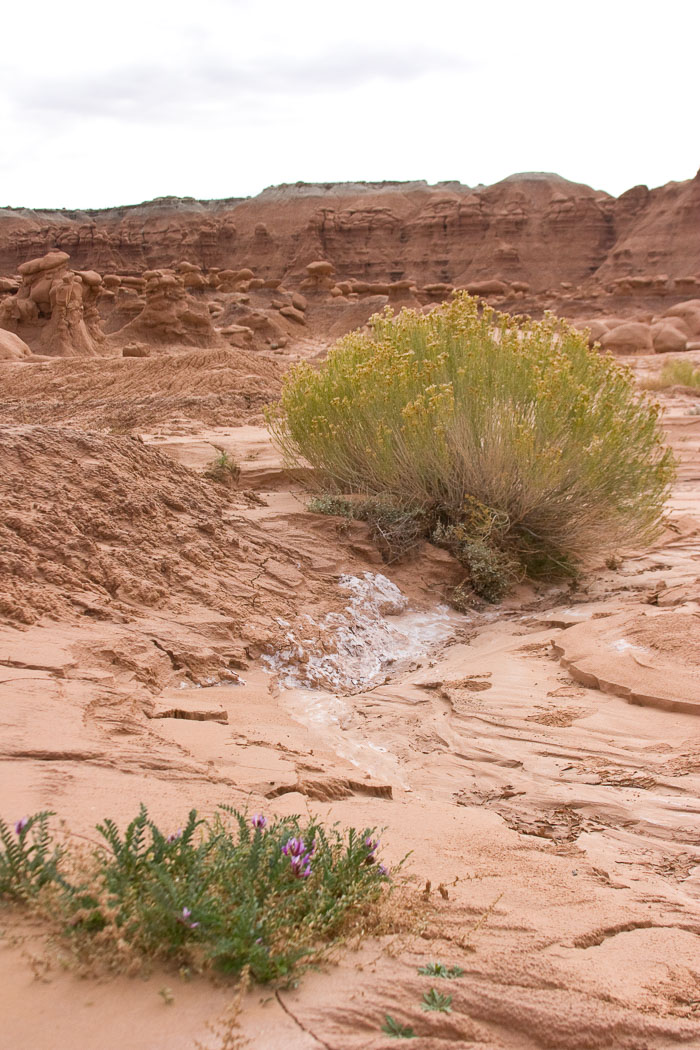 Goblin Valley State Park