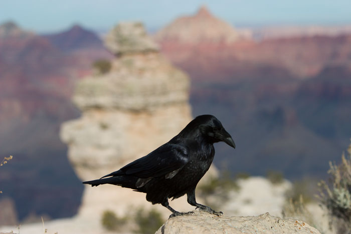 Grand Canyon National Park