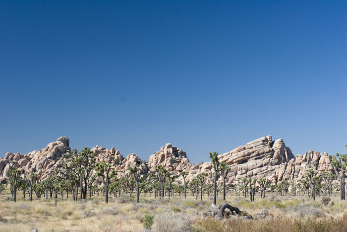 Desert Southwest National Parks and Monuments