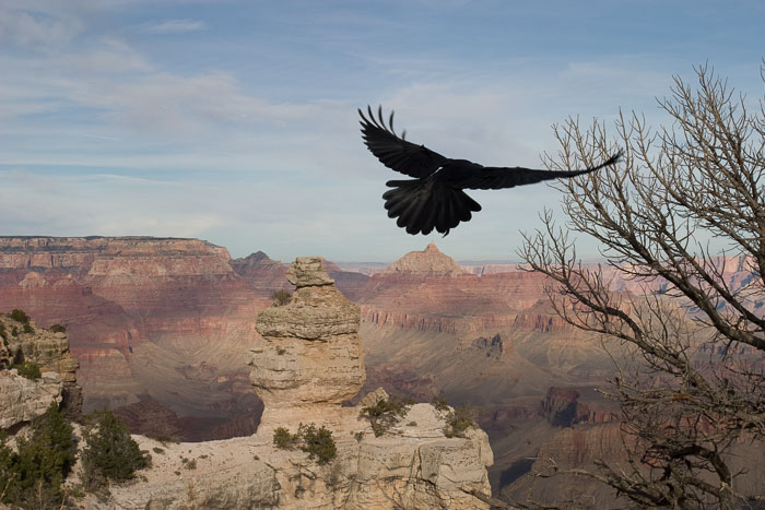 Desert Southwest National Parks and Monuments Desert Southwest National Parks and Monuments