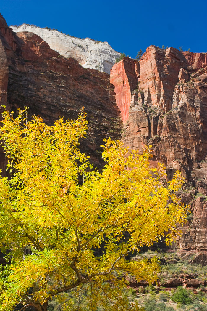 Zion National Park