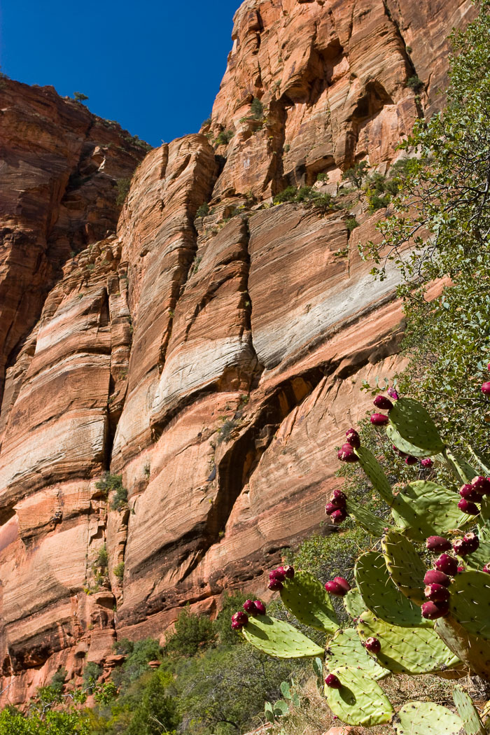 Zion National Park