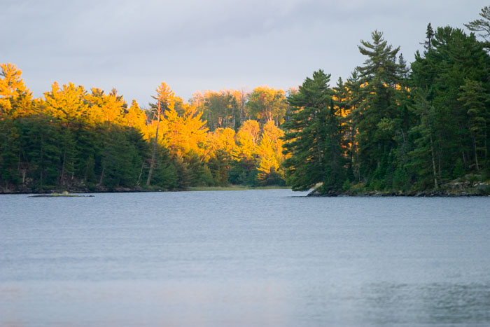 National Parks, Monuments, and Forests