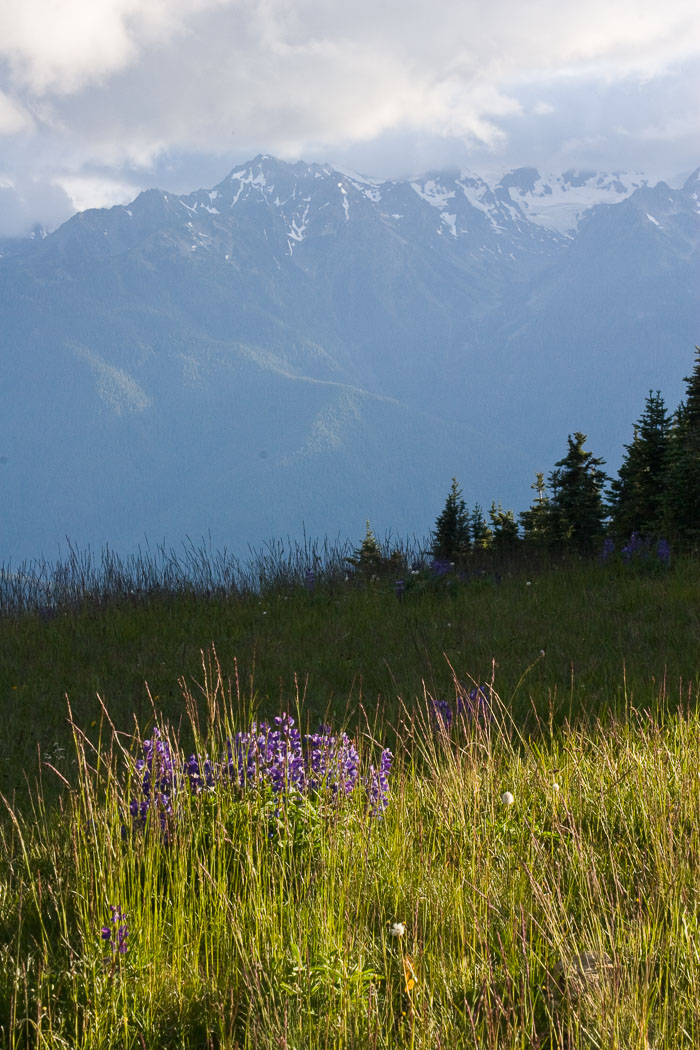 National Parks, Monuments, and Forests