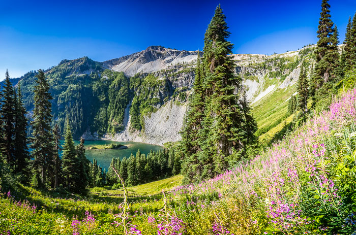 National Parks, Monuments, and Forests National Parks, Monuments, and Forests