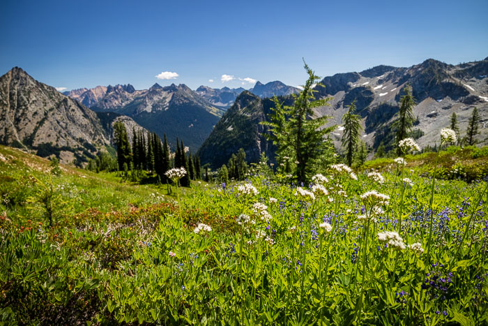 National Parks, Monuments, and Forests National Parks, Monuments, and Forests