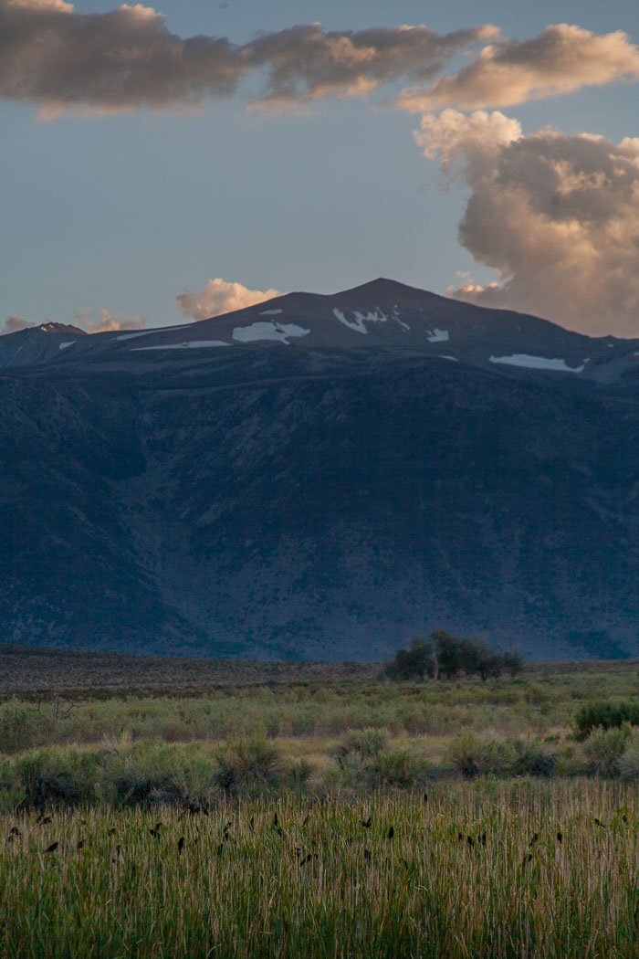 Mono Lake Area