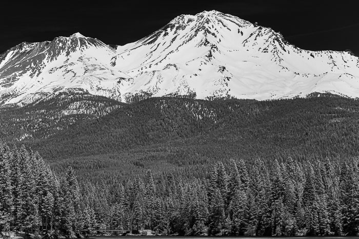 Mount Shasta