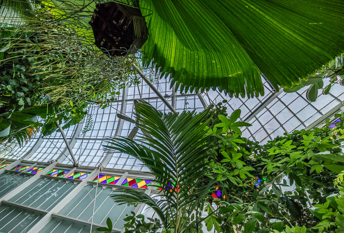 Conservatory of flowers