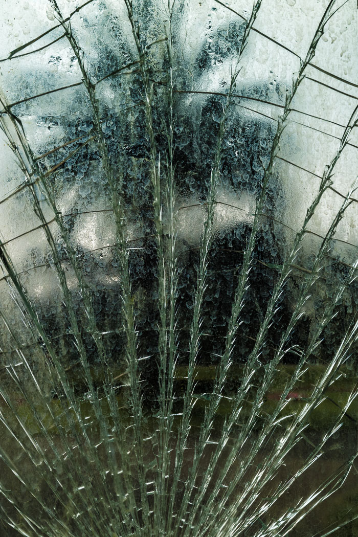 Conservatory of flowers