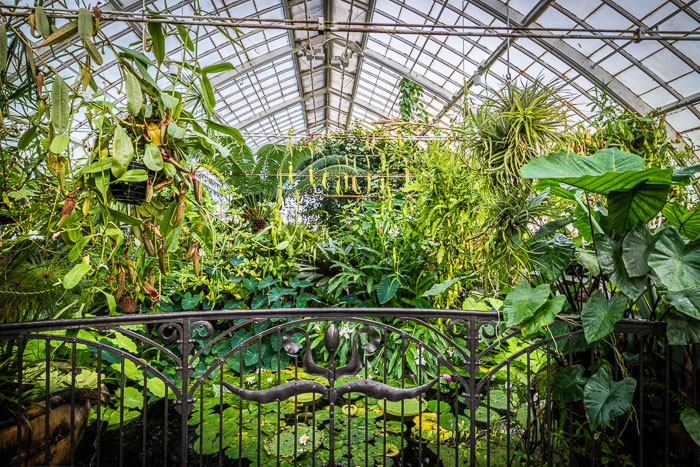 Conservatory of flowers