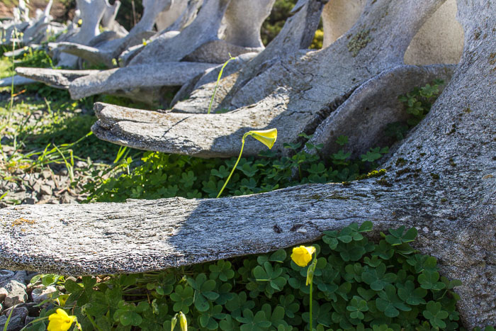 Marin Headlands - Golden Gate National Recreation Area