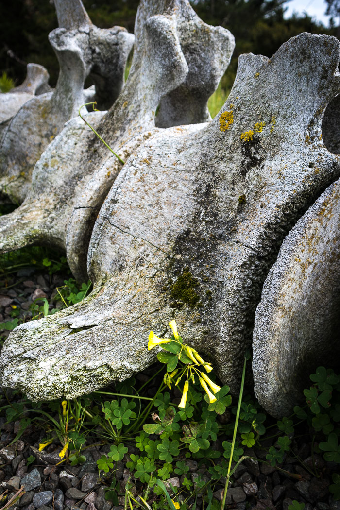 Marin Headlands - Golden Gate National Recreation Area