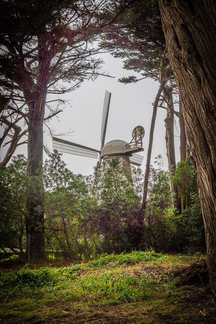 Golden Gate Park