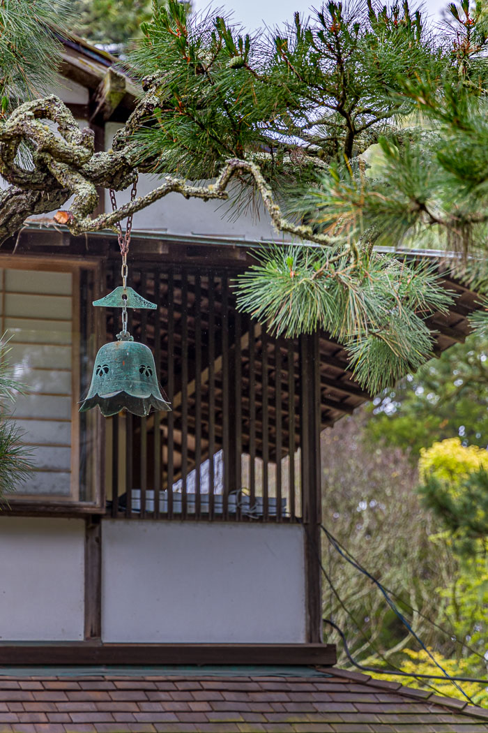 Japanese Tea Garden - Golden Gate Park