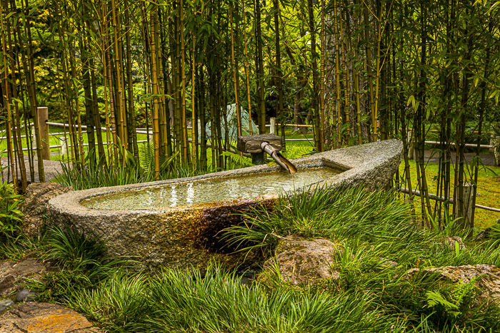 Japanese Tea Garden - Golden Gate Park