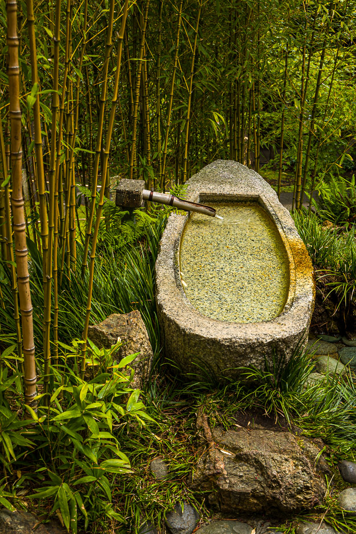 Japanese Tea Garden - Golden Gate Park