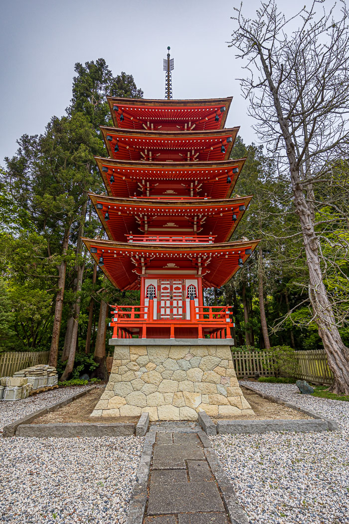 Japanese Tea Garden - Golden Gate Park