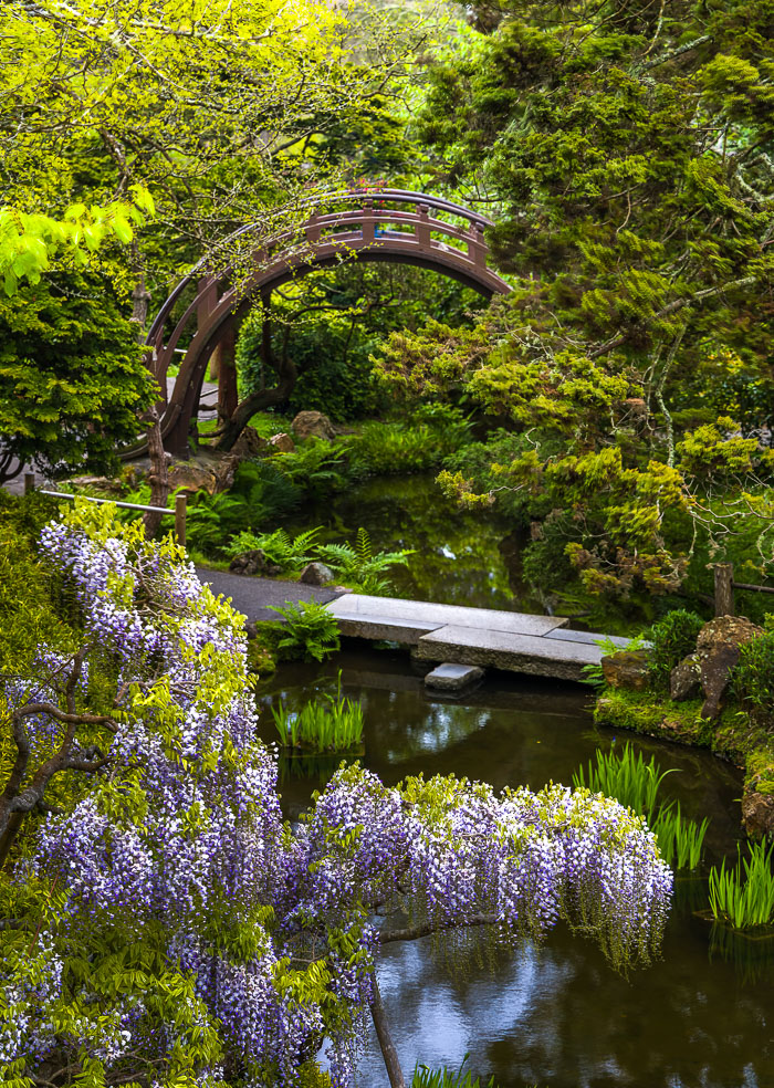 Japanese Tea Garden - Golden Gate Park