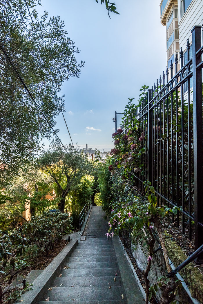 Secret stairs and special places on Russian Hill