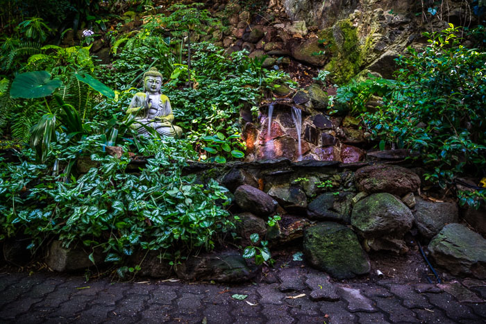 Secret stairs and special places on Russian Hill