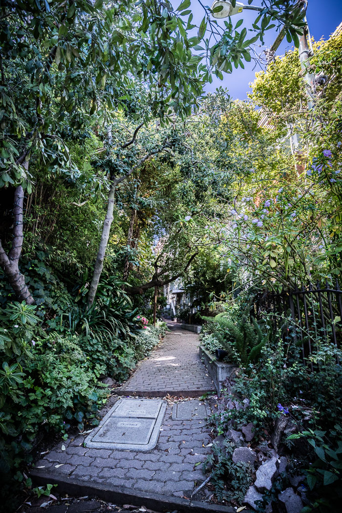 Secret stairs and special places on Russian Hill Secret stairs and special places on Russian Hill