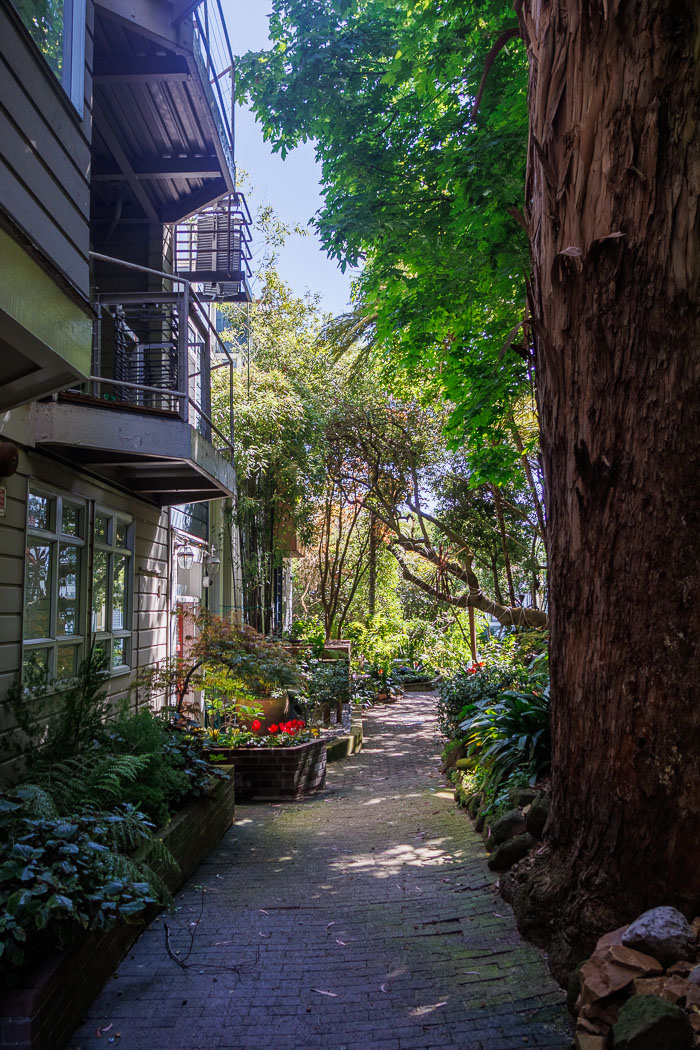 Secret stairs and special places on Russian Hill