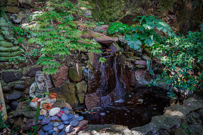 Secret stairs and special places on Russian Hill