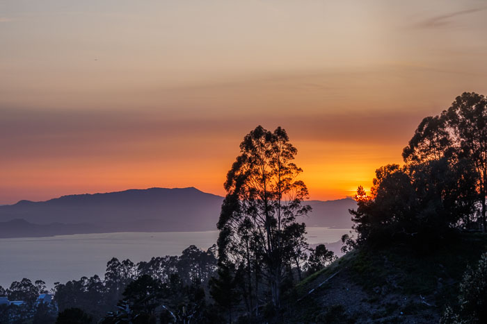 San Francisco After Dark