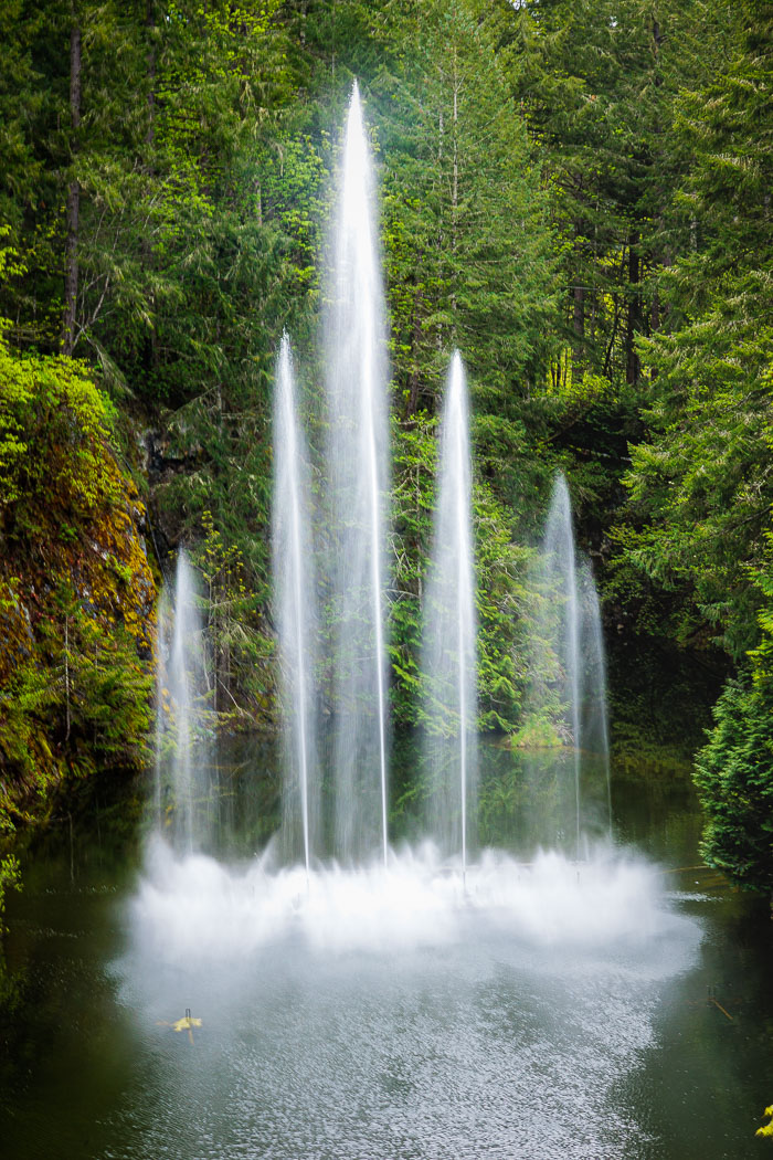 Buchart Gardens