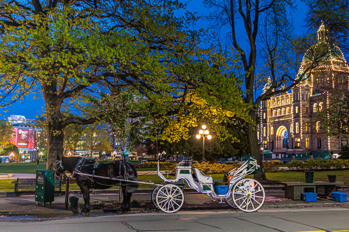 Victoria After Dark