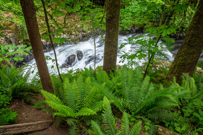 Cedar Creek Grist Mill Cedar Creek Grist Mill