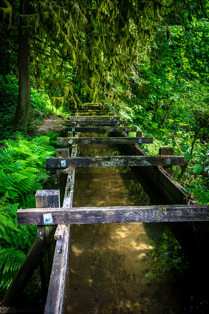 Cedar Creek Grist Mill