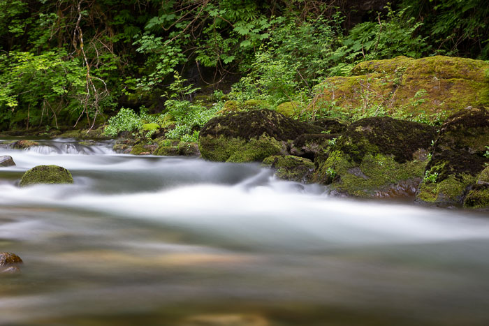 Cedar Creek Grist Mill