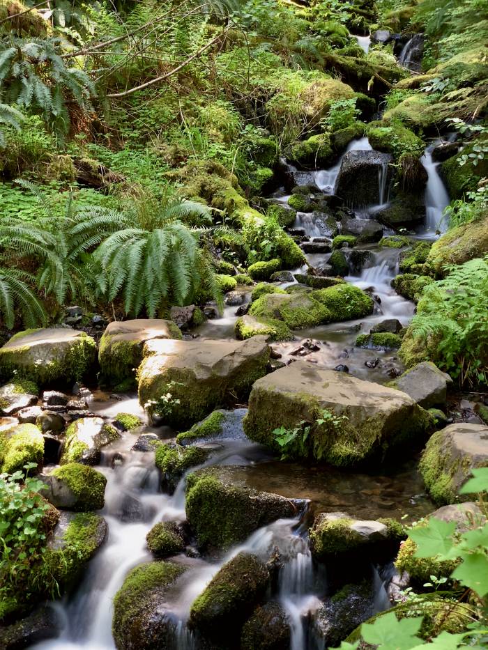 Estacada River Trail