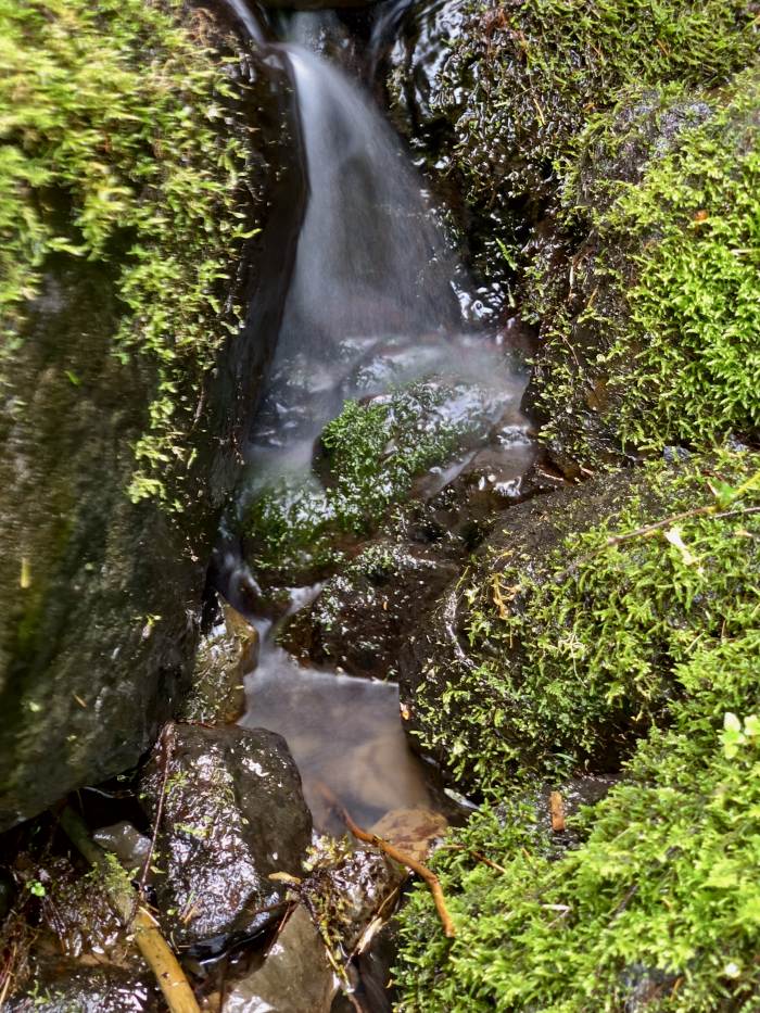 Estacada River Trail