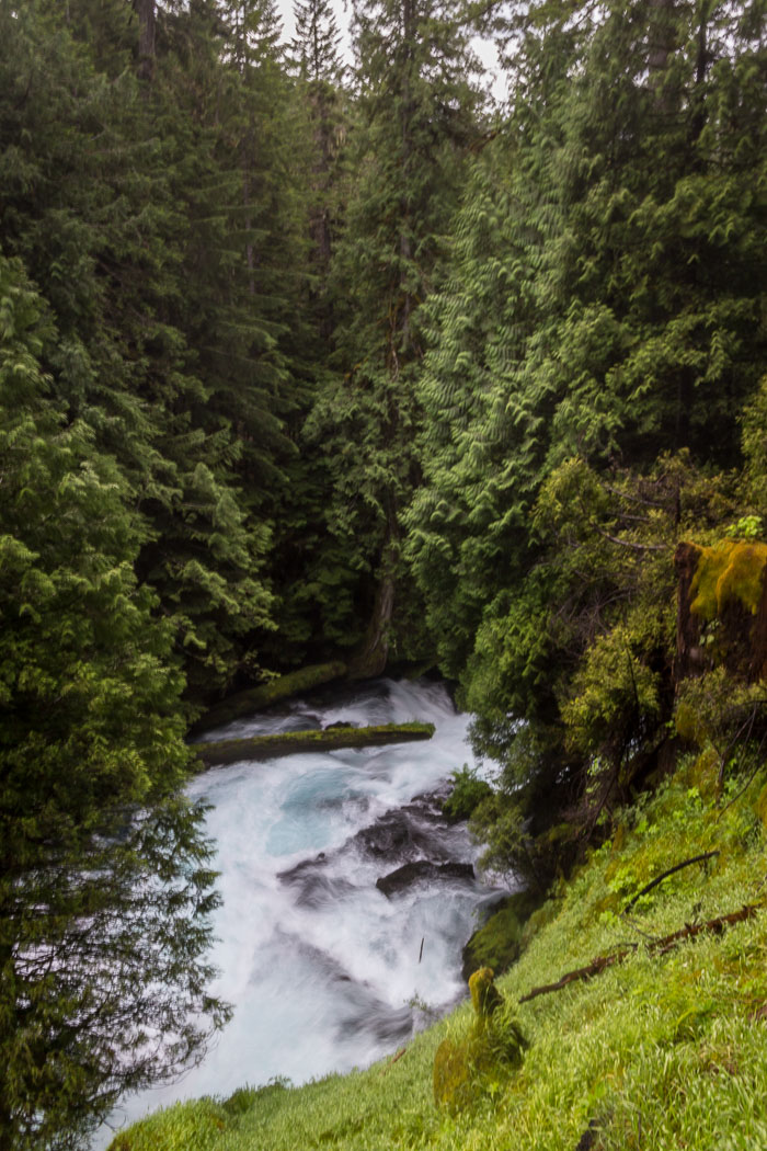 Mckenzie River Valley