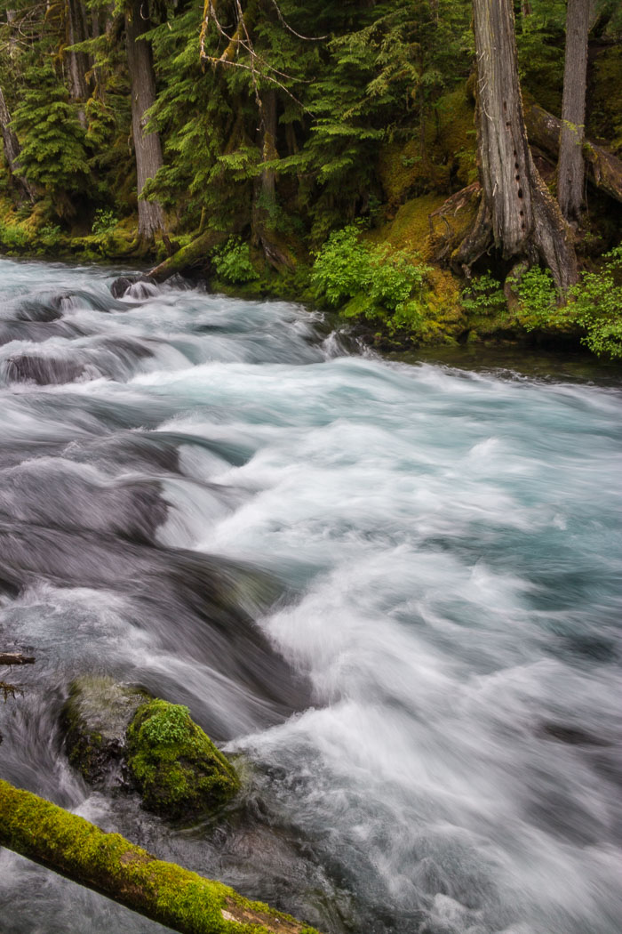 Mckenzie River Valley