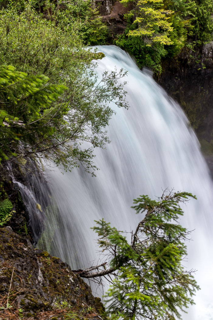 Mckenzie River Valley